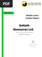 Goliath Resources Wealth Letter Analyst Report February 25, 2021