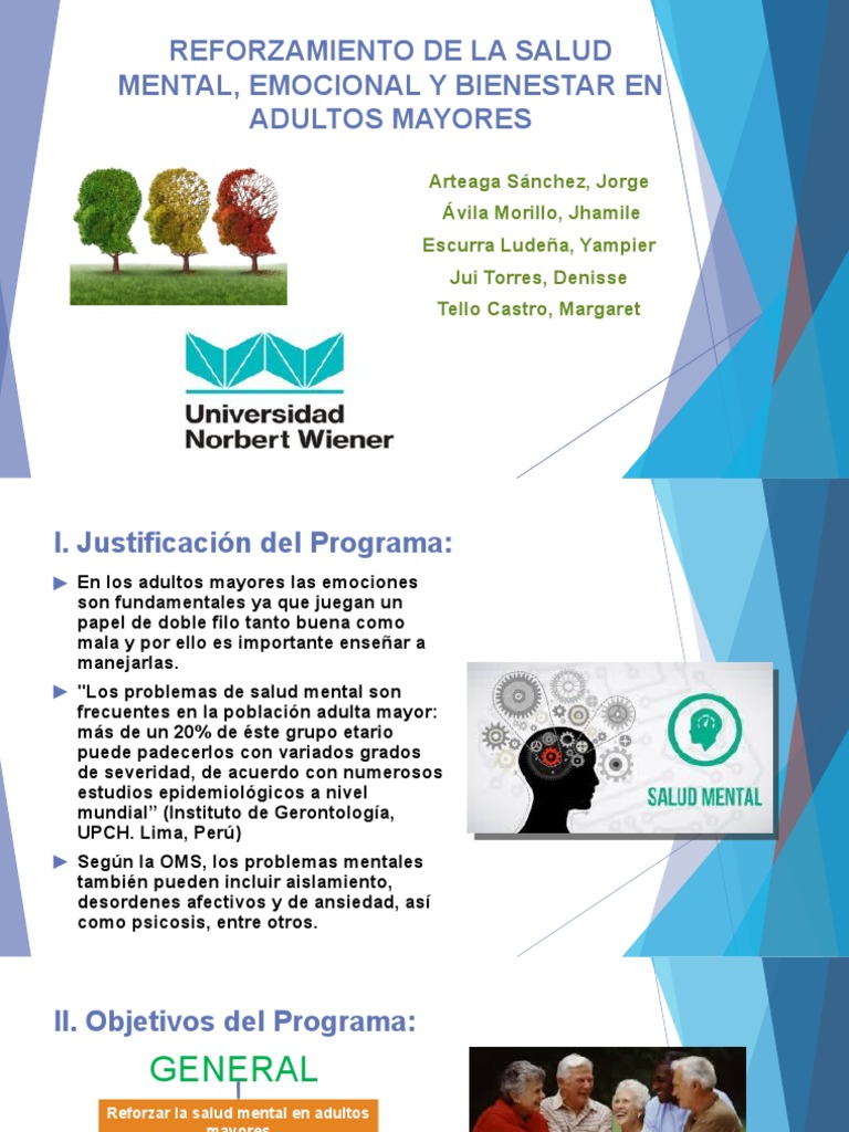 Salud Mental en Adultos Mayores | PDF | Vejez | Salud mental