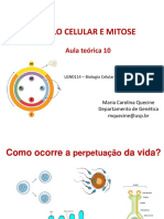 Aula 10 - Ciclo Celular e Mitose