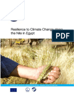 Resilience To Climate Change Along The Nile in Egypt