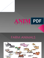 Animals