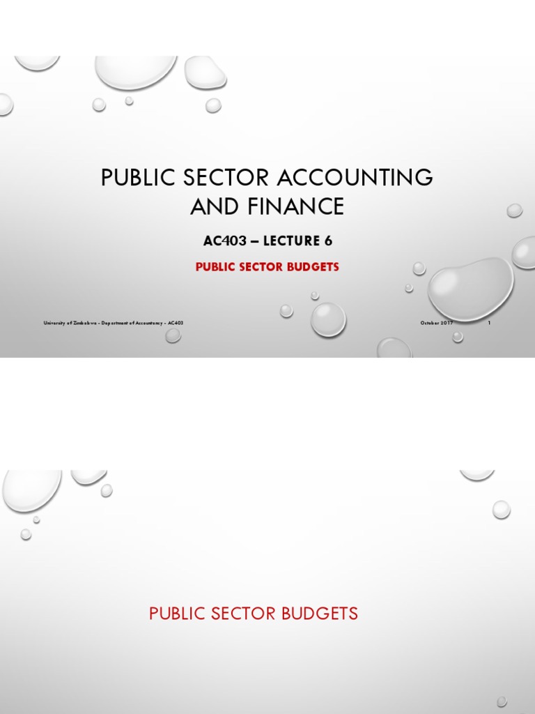 Public Sector Budgeting Process Overview | PDF | Financial Audit | Audit