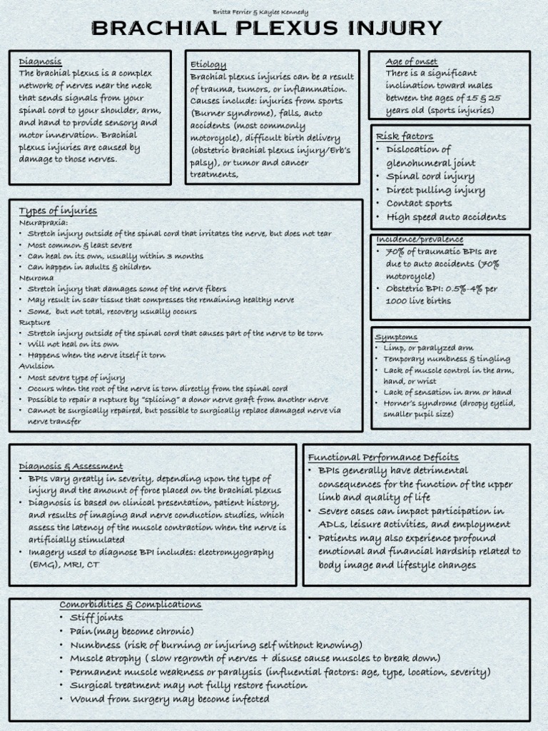 Brachial Plexus Injury - Bferrier | PDF | Human Diseases And Disorders ...