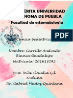 3journaluna Revisión de La Terapia Pulpar para Dientes Permanentes Primarios e Inmaduros