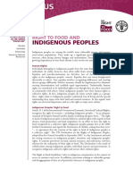 FAO - Right To Food and Indigenous Peoples