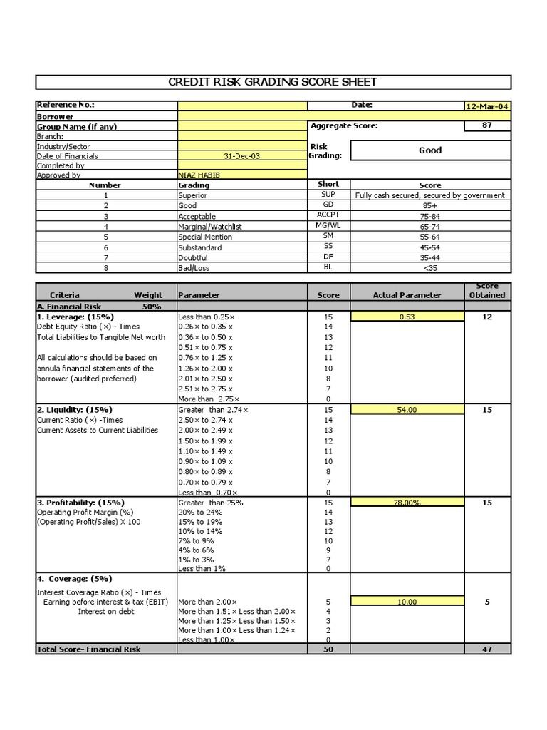 Credit Risk Grading Guide | PDF | Mortgage Law | Leverage (Finance)