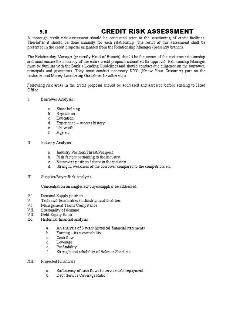 Credit Risk Assessment Guidelines | PDF | Credit | Finance & Money ...