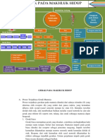 Mind Map 1 - Telaah Ipa Sekolah Ii - Siti Arofatul Amrina - 1913071019