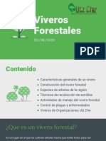 Viveros Forestales Comunitarios