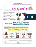 Exercises Can and Can T