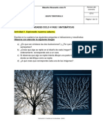 Actividades Ciclo 4 Fase 1 Matemáticas