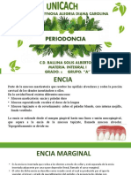 Periodoncia y Endodoncia, Integral - Reynosa Alegria Diana Carolina