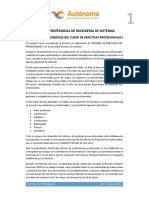 ICCIONESINICIALES-PRACTICASPRE-PROFESIONALES1