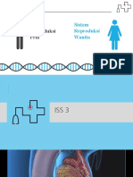 Sistem Reproduksi Manusia (ISS 3)