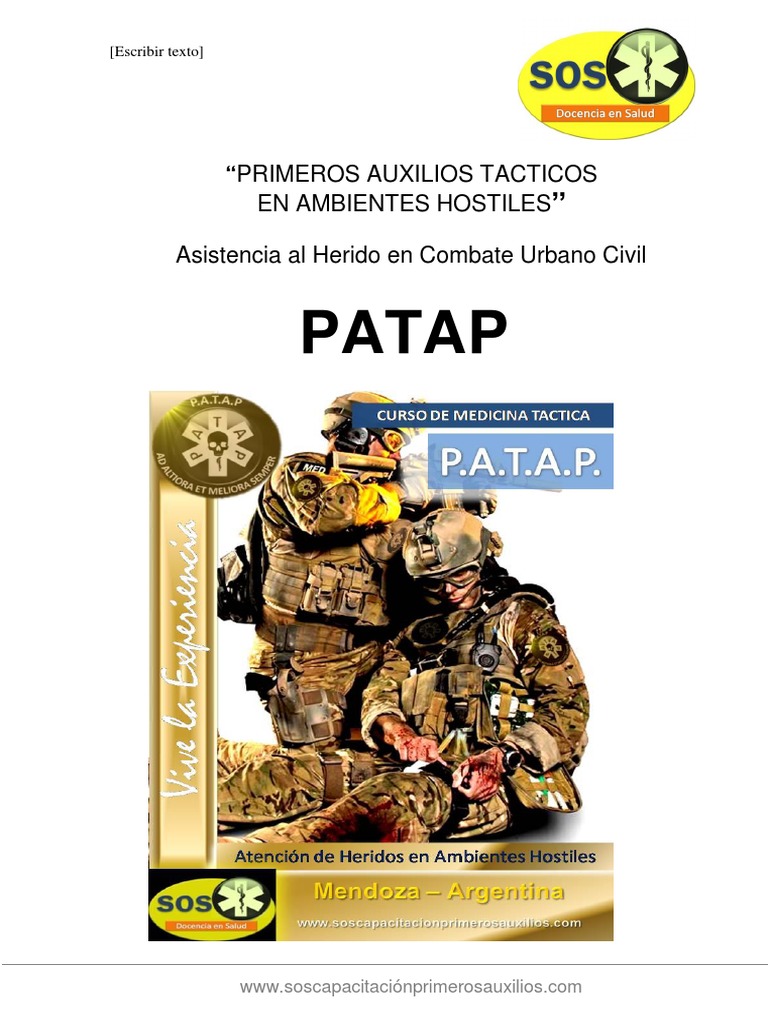 Publicidad y Contenido Patap | PDF | Historia