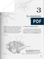 2 La Membrana Plasmatica