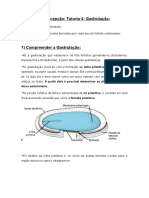 Gastrulação e folhetos embrionários