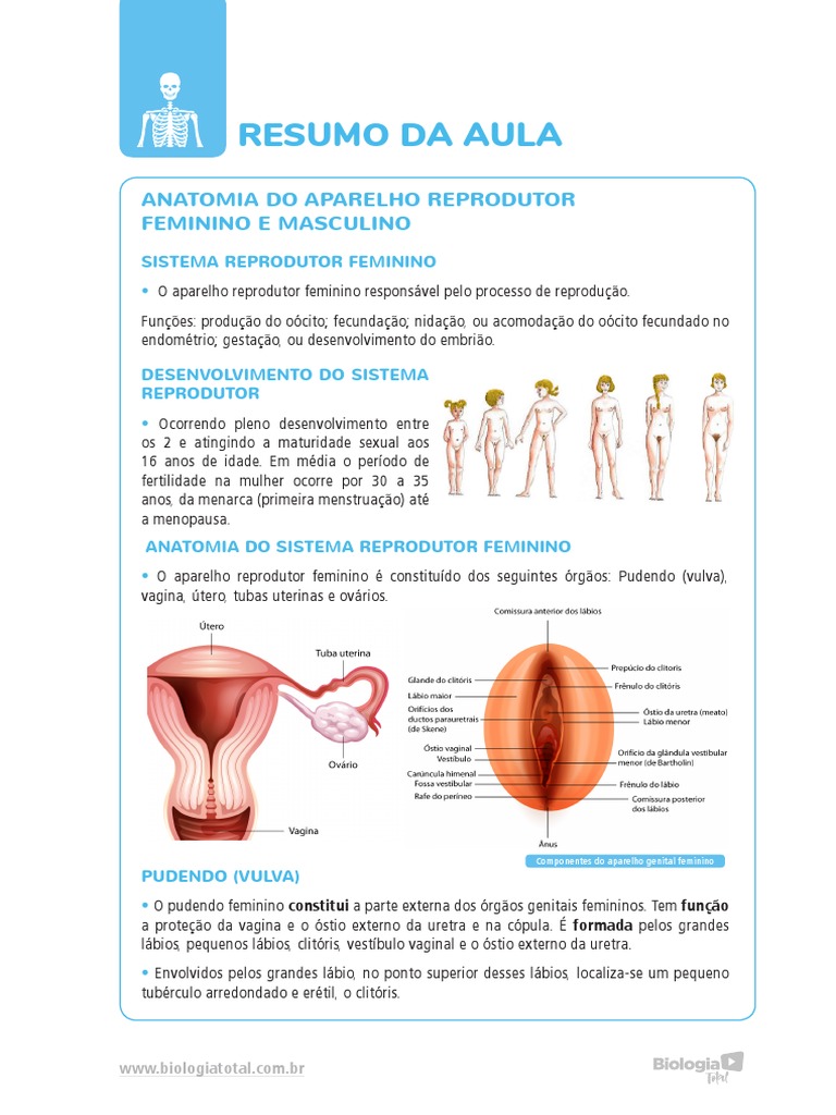 Resumo Anatomia Do Aparelho Reprodutor Feminino e Masculino | PDF | Sistema  reprodutivo | Clitóris, image size:768x1024