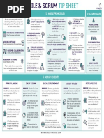 Agile-and-Scrum-Tip-Sheet-from-Vitality-Chicago-Inc-April-2020