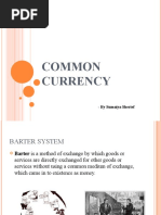 Common Currency: - by Sumaiya Sherief