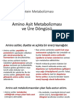 Amino Asit Metabolizması Ve Üre Döngüsü