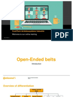 Open Ended Belts