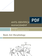Identification and Management of Common Texas Ant Species