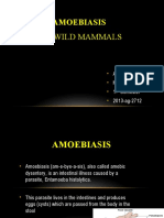 Amoebiasis in Wild Mammals: Ayesha Ahmed M Phil. Parasitology 1 Semester 2013-Ag-2712