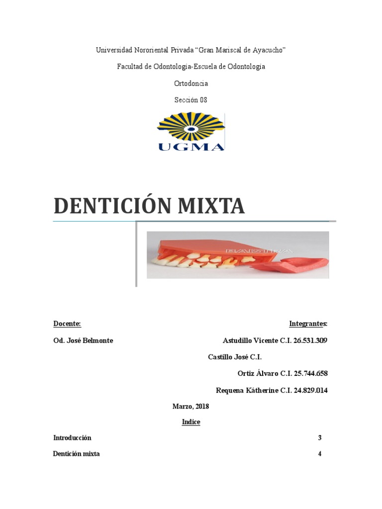 Dentición Mixta: Etapas y Características | PDF | Diente | Anatomia dental