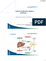 Clase 6 Qca CL Nica Glucosa Lipidos y Proteinas M. Garrido 2020