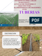 Anthonella Milgros Visitacion Laqueticona - Tuberias, Irrigaciones