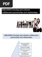 BSBLDR803 Develop and Cultivate Collaborative Partnerships and Relationships