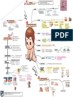 Mapa Examen Fisico