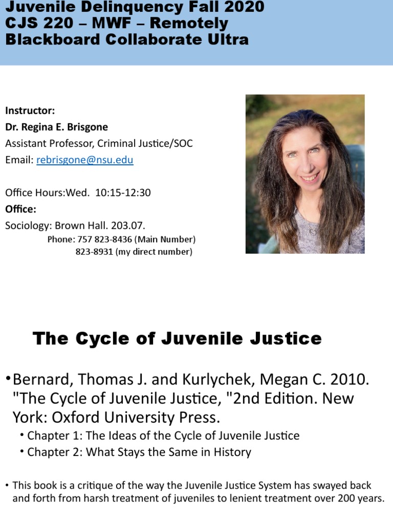 Juvenile Delinquency Course Overview | PDF | Juvenile Delinquency ...