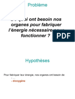 De Quoi Ont Besoin Nos Organes Pour Fabriquer L'énergie Nécessaire Pour Fonctionner ?