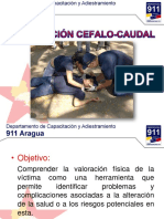 7-Evaluacion Cefalocaudal