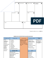 Context Organizational Analiza Canva-Kaufland