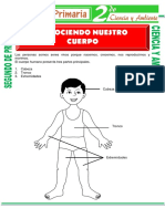 Conociendo Nuestro Cuerpo para Segundo de Primaria