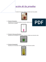 Coloración de Las Pruebas de Alcaloide