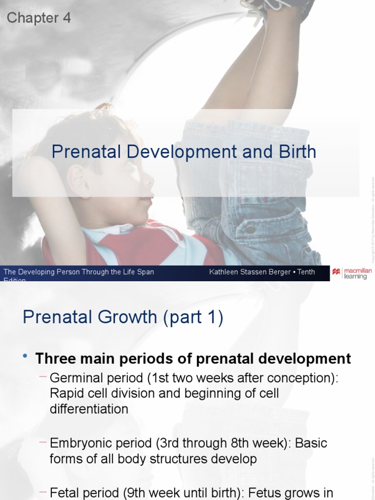 Prenatal Development Stages Explained | PDF | Low Birth Weight ...