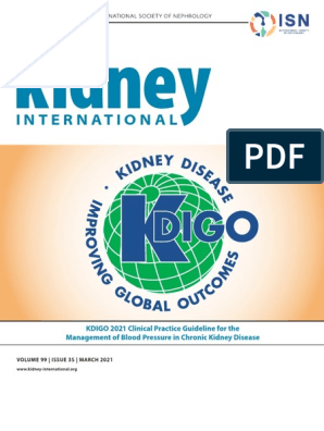 Vedhæftet fil Elastisk efterår Kdigo 2021 BP GL | PDF | Chronic Kidney Disease | Kidney