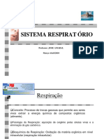 Sistema Respiratório