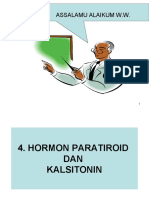 12_hpt__kalsitonin_k4