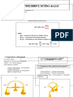 Echilibru Acido Bazic