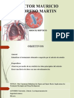 Shock Septico Rotafolio