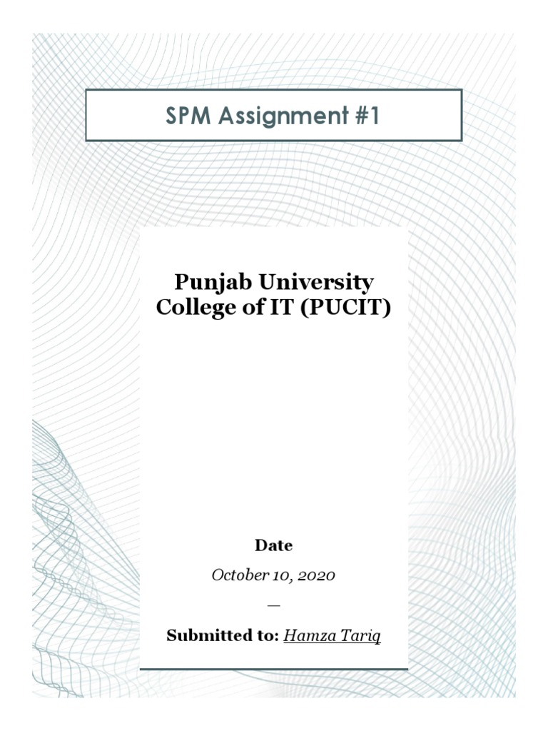 SPM Assignment #1: Punjab University College of IT (PUCIT) | PDF | Business
