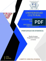 Portafolio Final