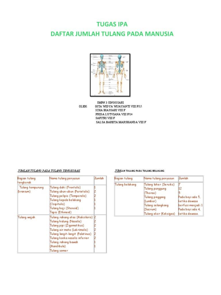 Ipa Jumlah Tulang Pdf