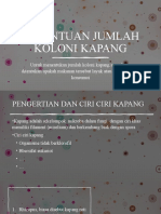 Penetuan Jumlah Koloni Kapang