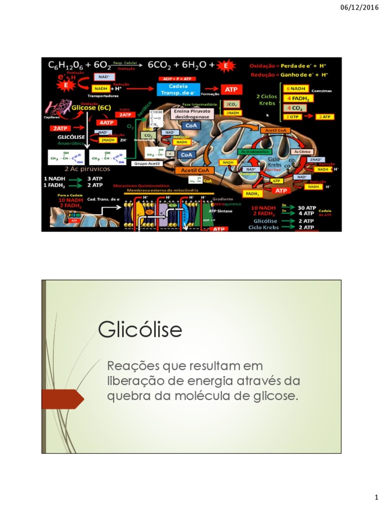 Processo metabólico da glicólise: quebra da glicose para produção de ...